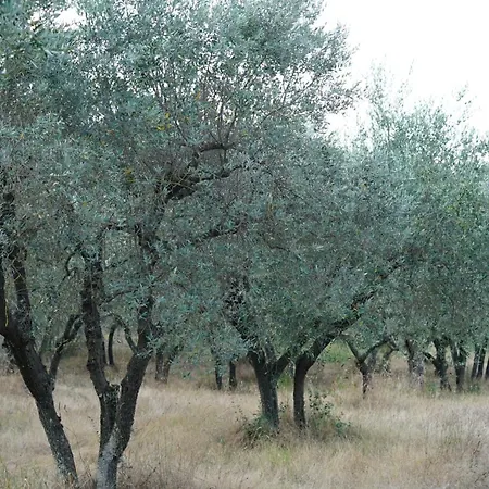 Salviati Prato (Prato)