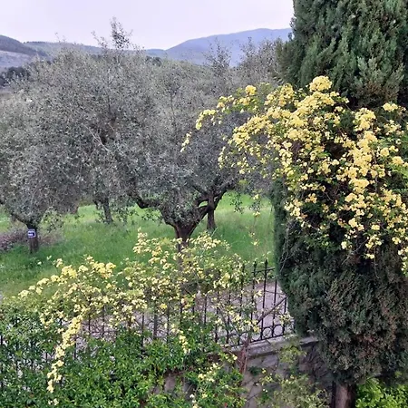 Salviati *