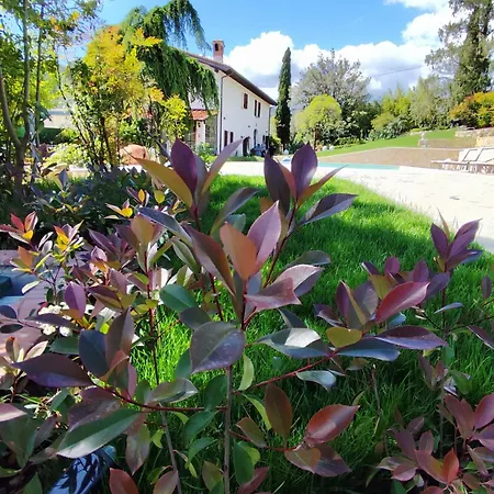 Salviati Prato (Prato)